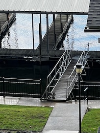 Local Raccoon mom & her babies at the dock.
