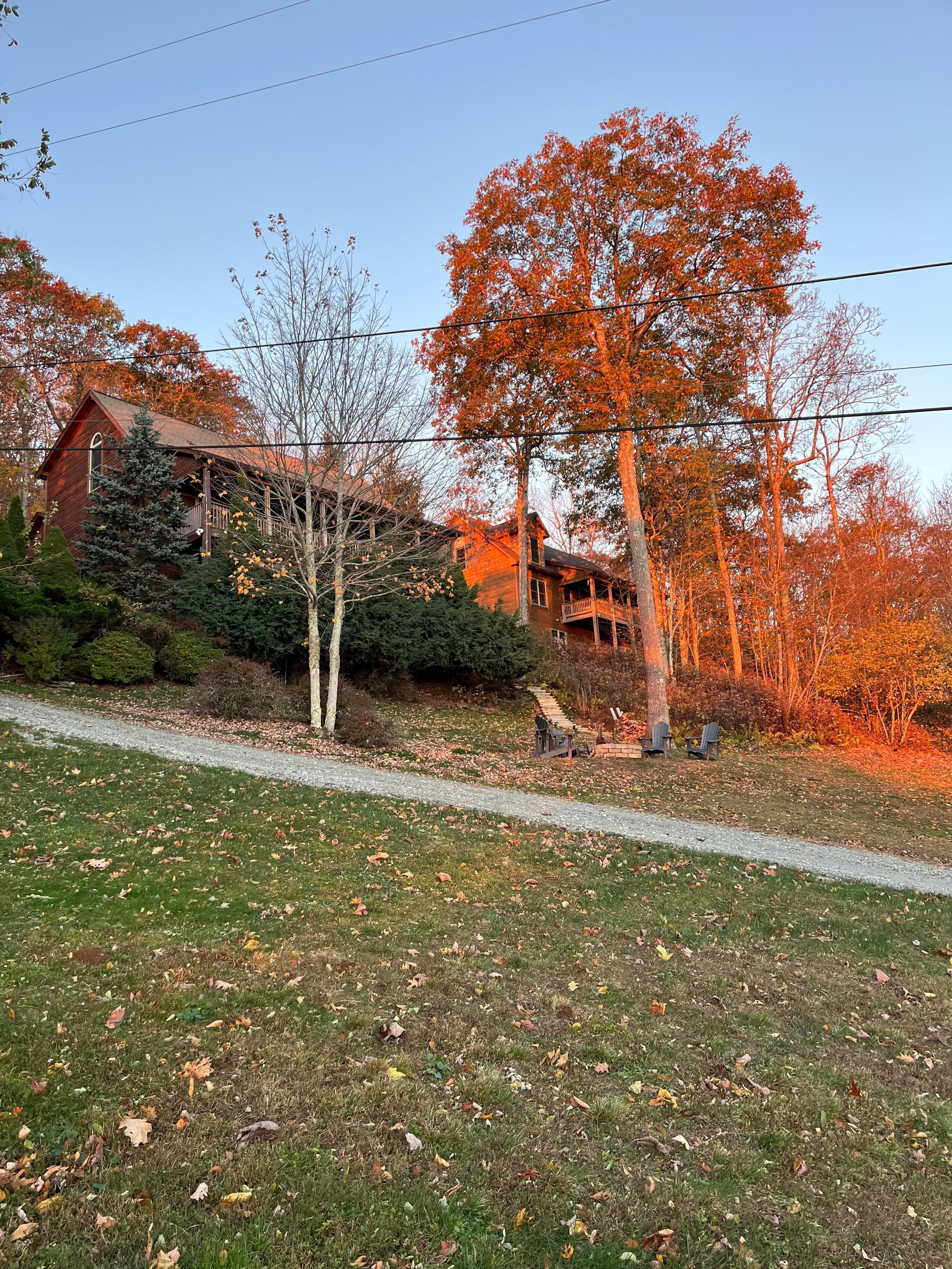 Road in front of house