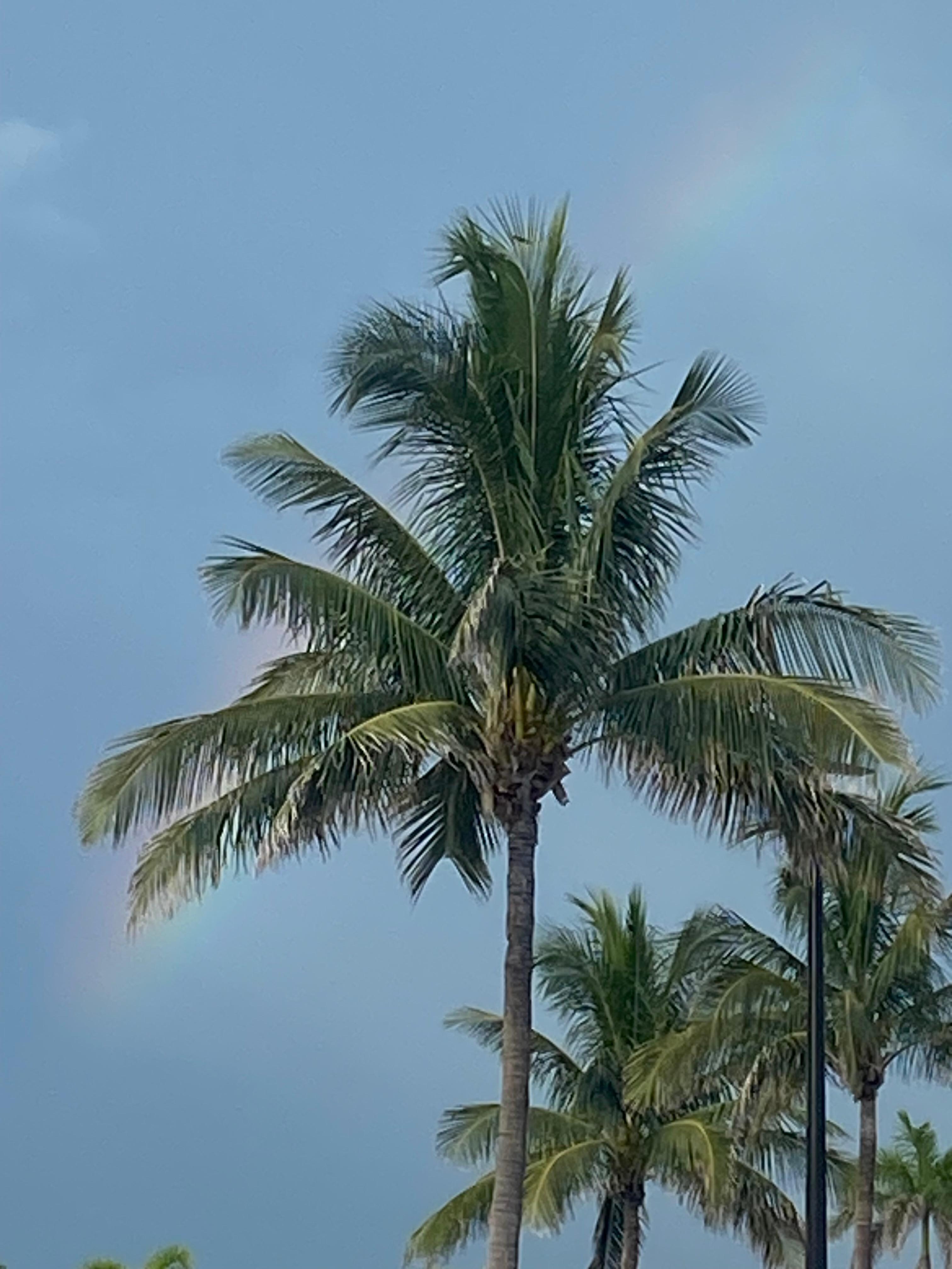 Nice rainbow 