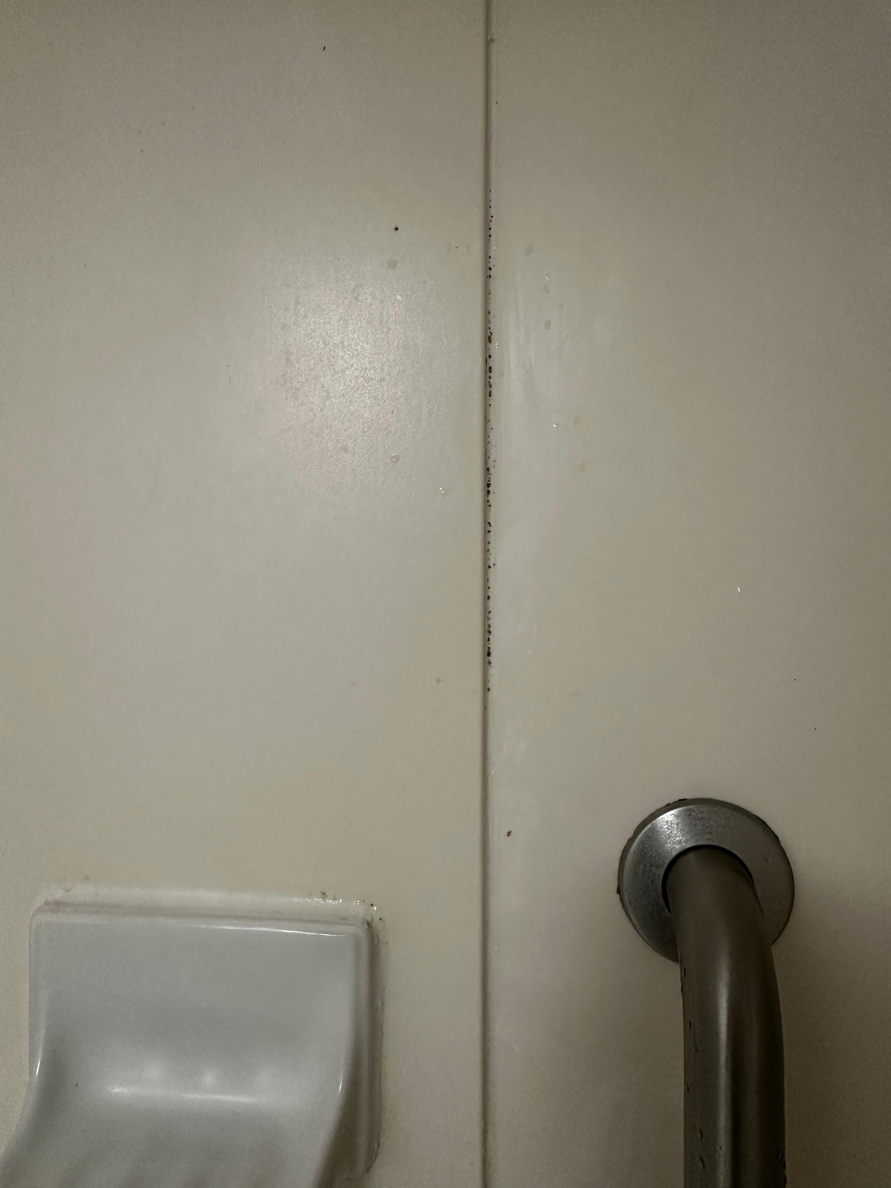Mold