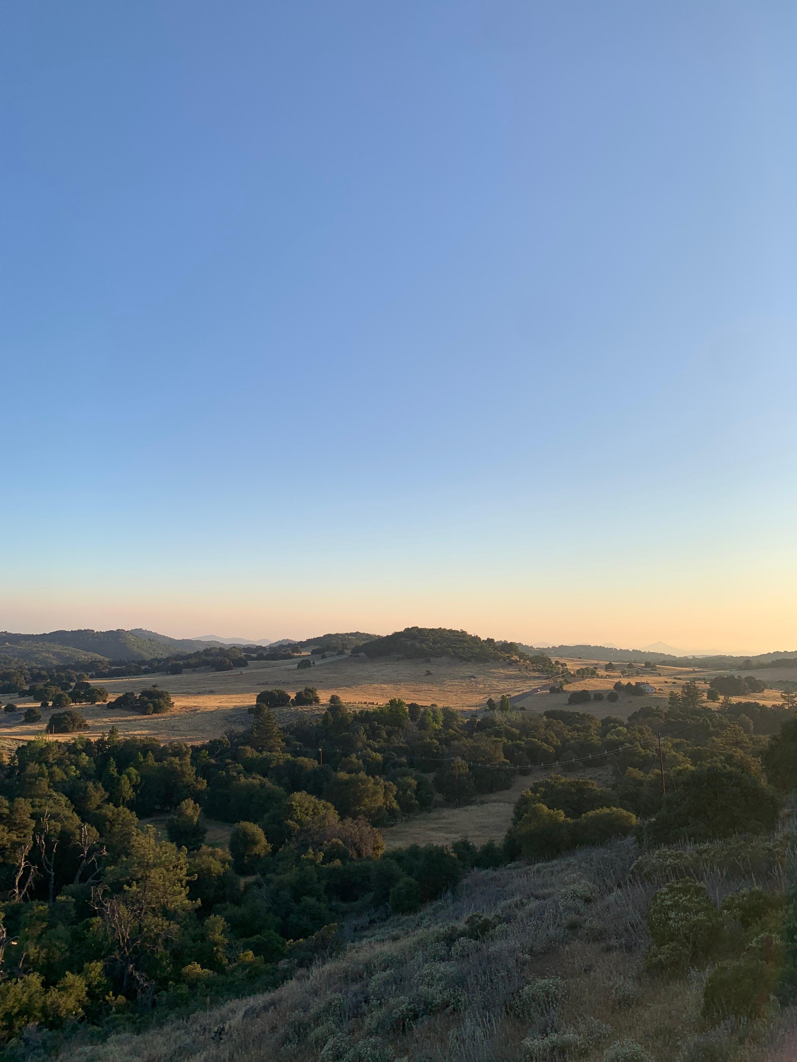 View standing on back porch. 