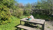 The garden