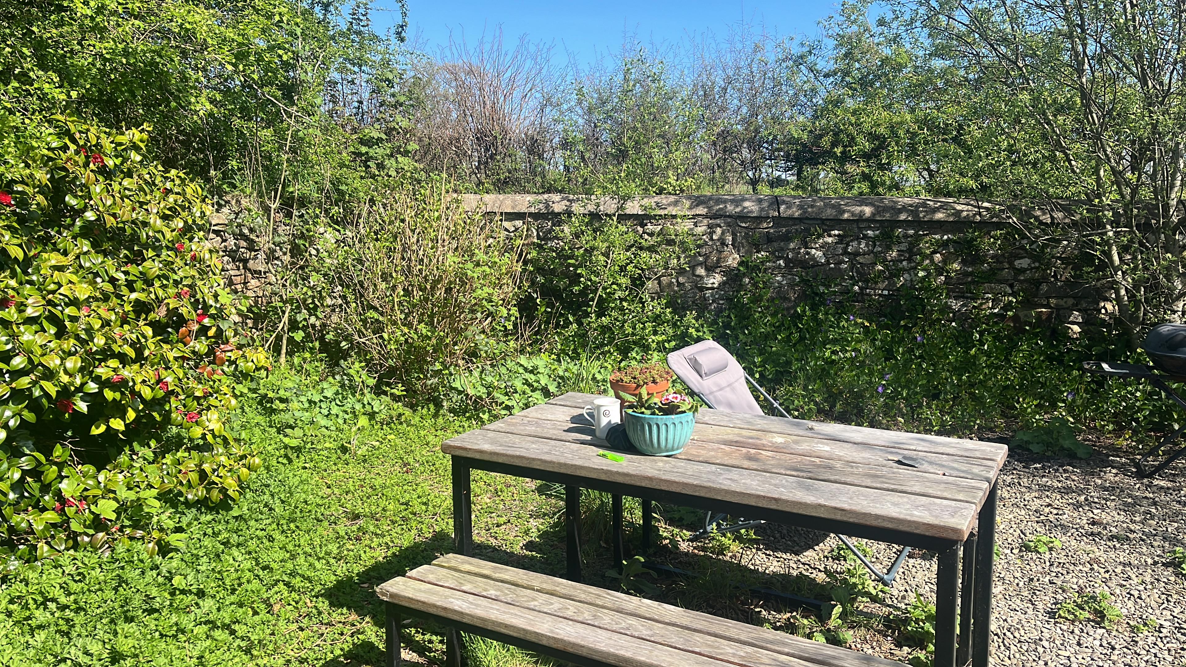 The garden
