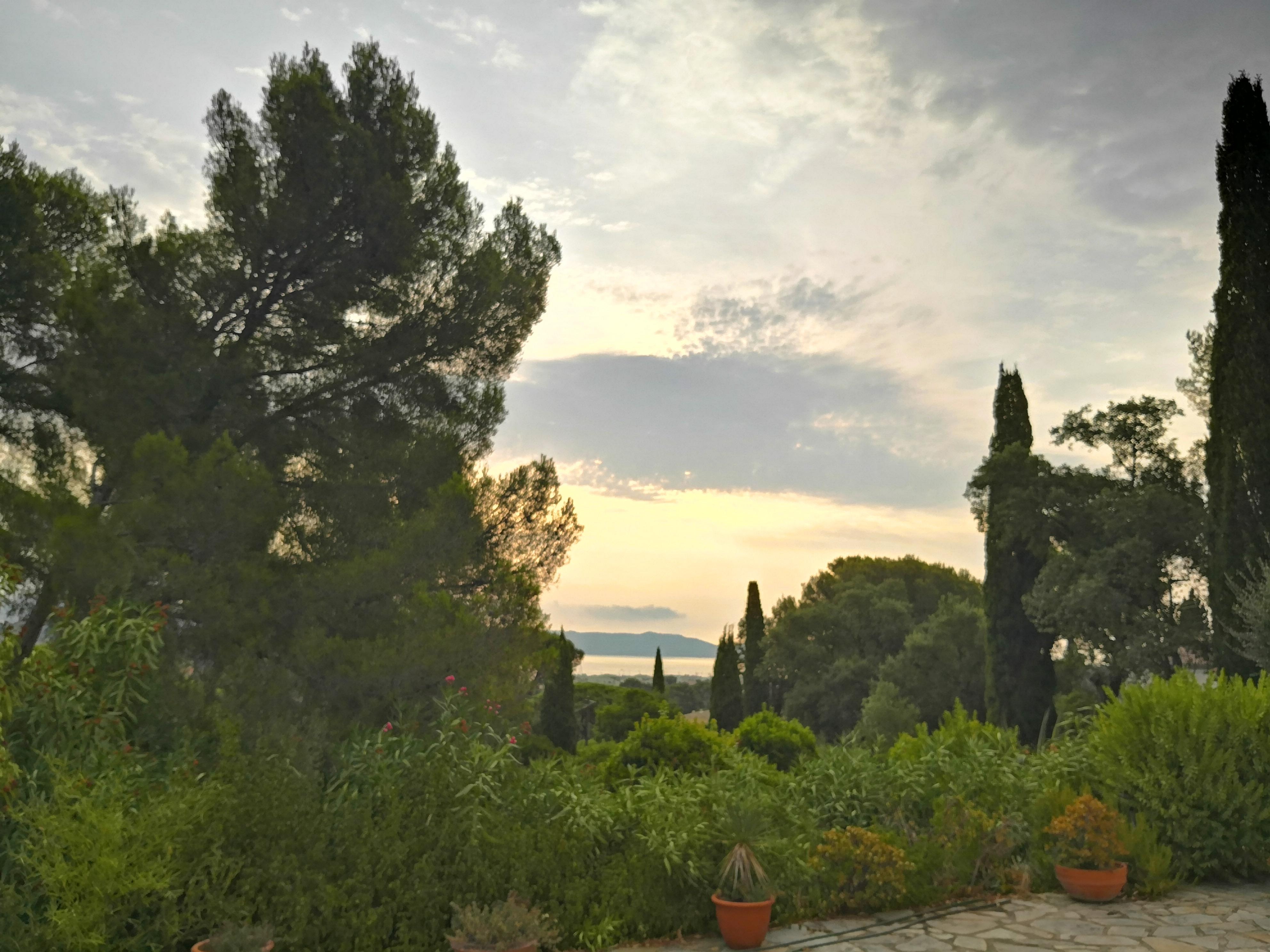 Blick von der Terrasse