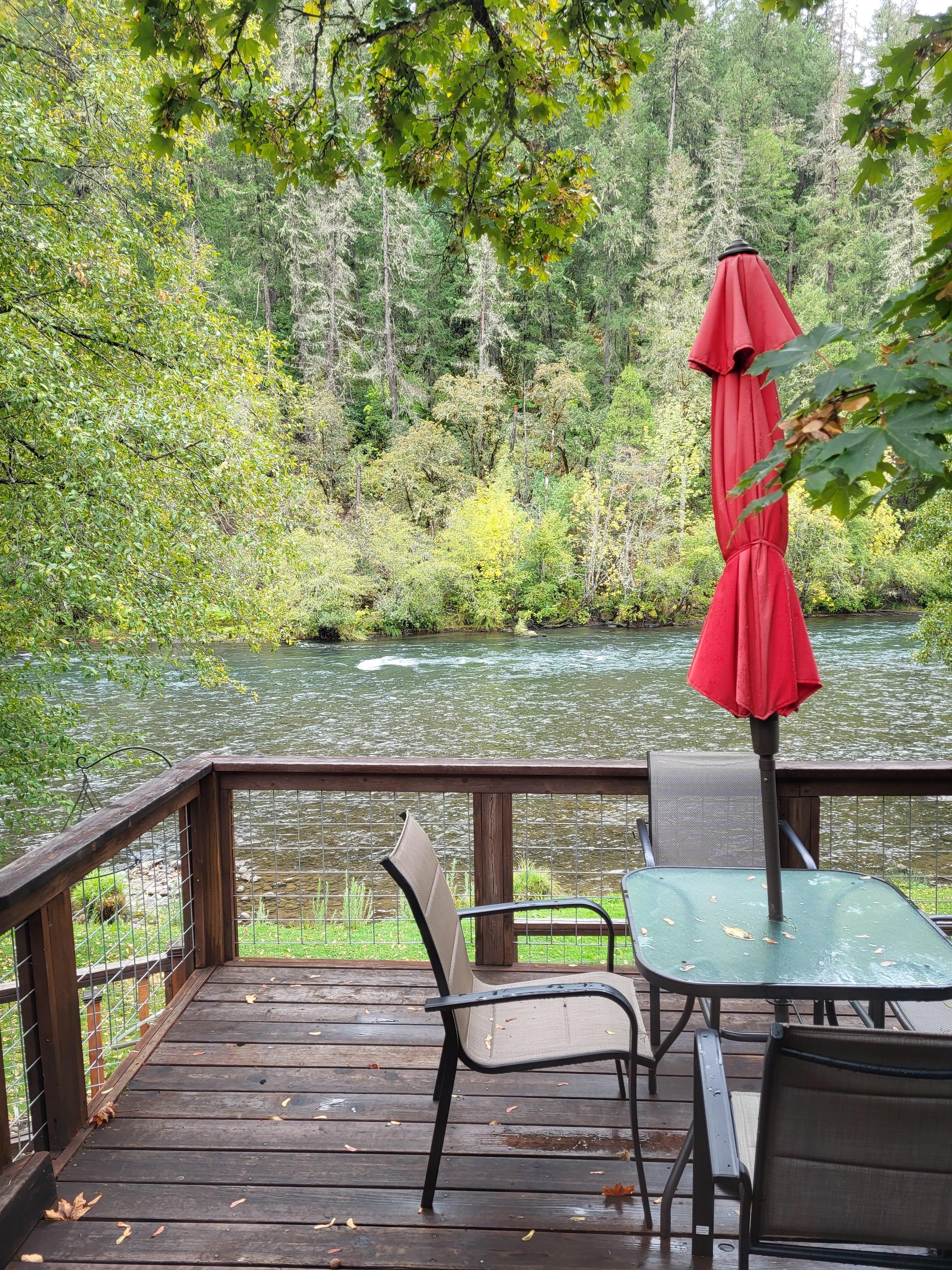 View from the living room window