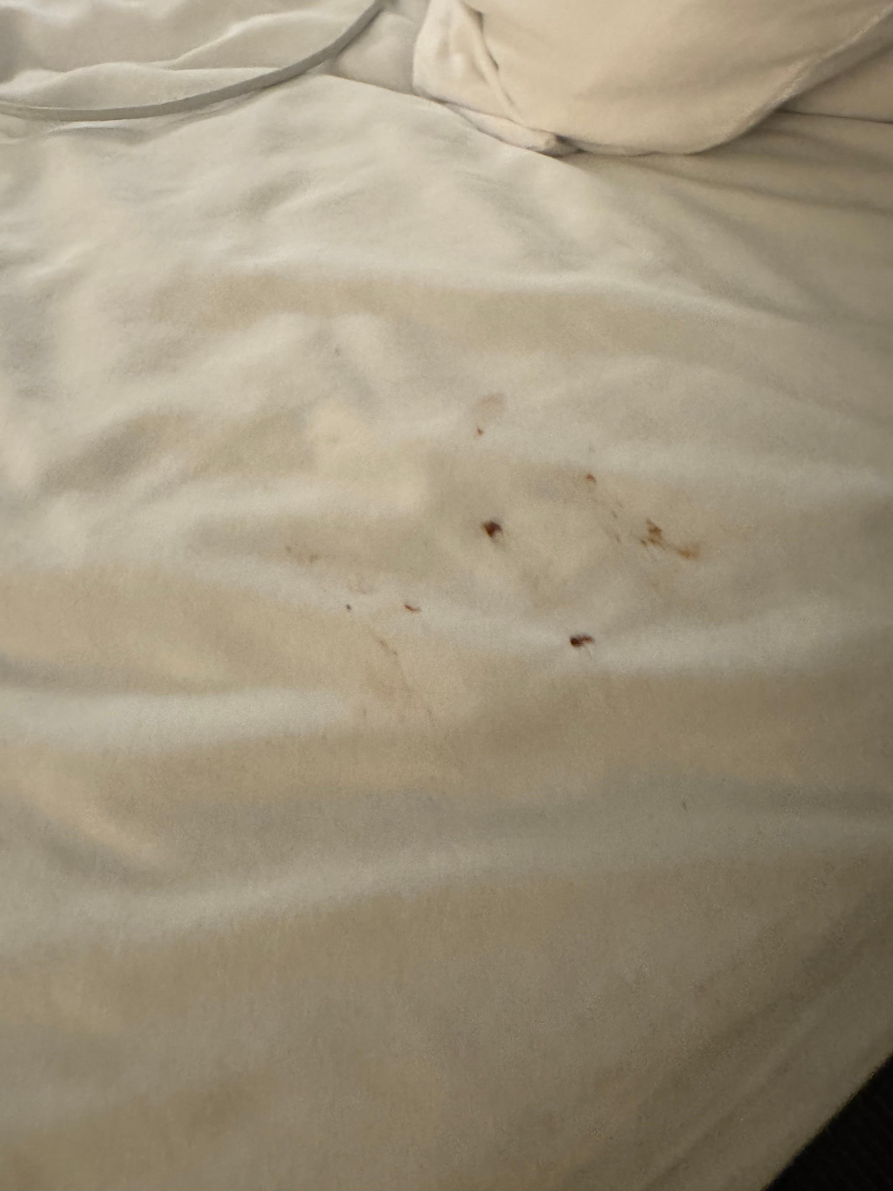 Dirty sheets