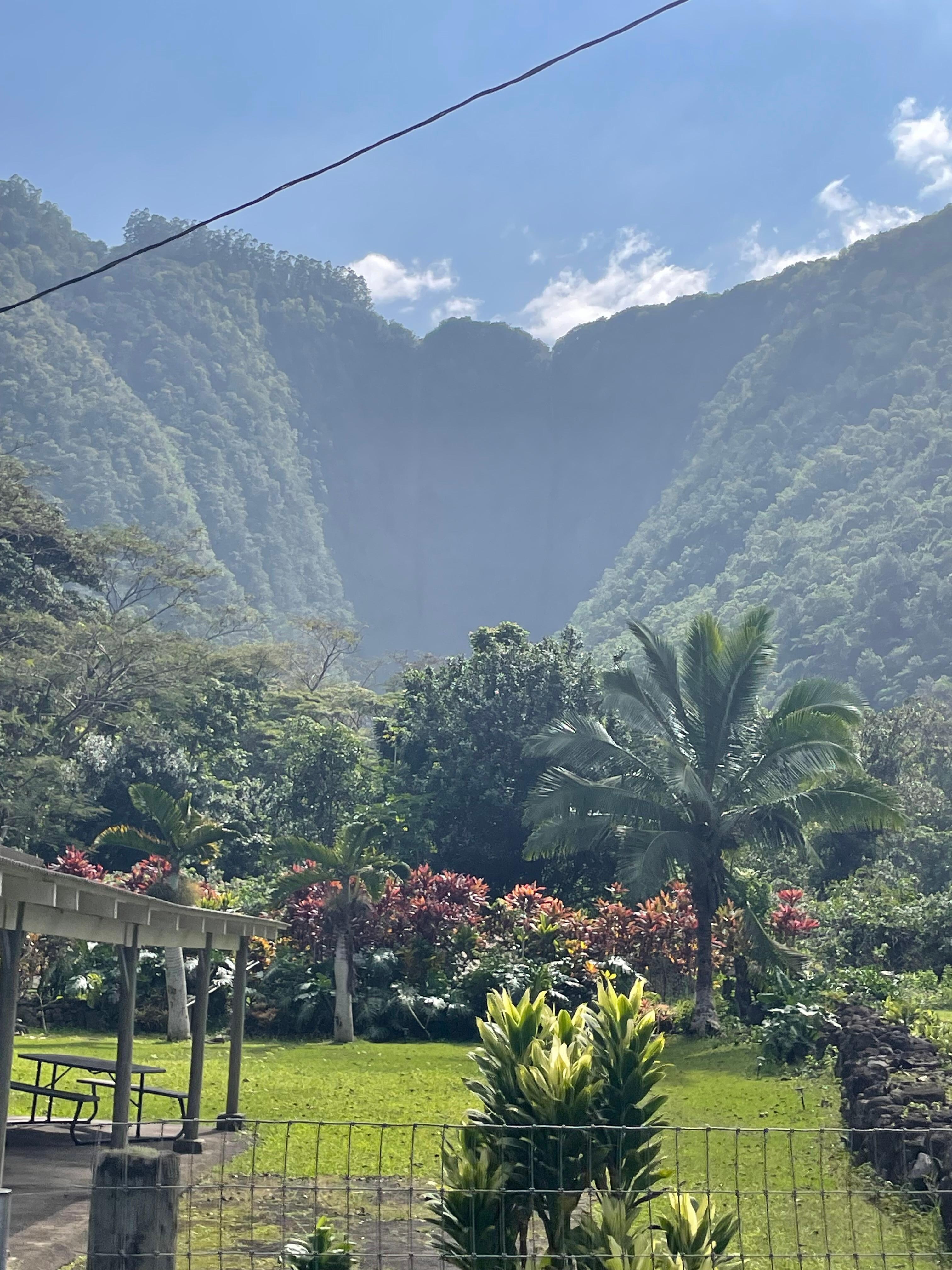 Waipio Valley floor