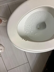 Toilet seat worn chipped