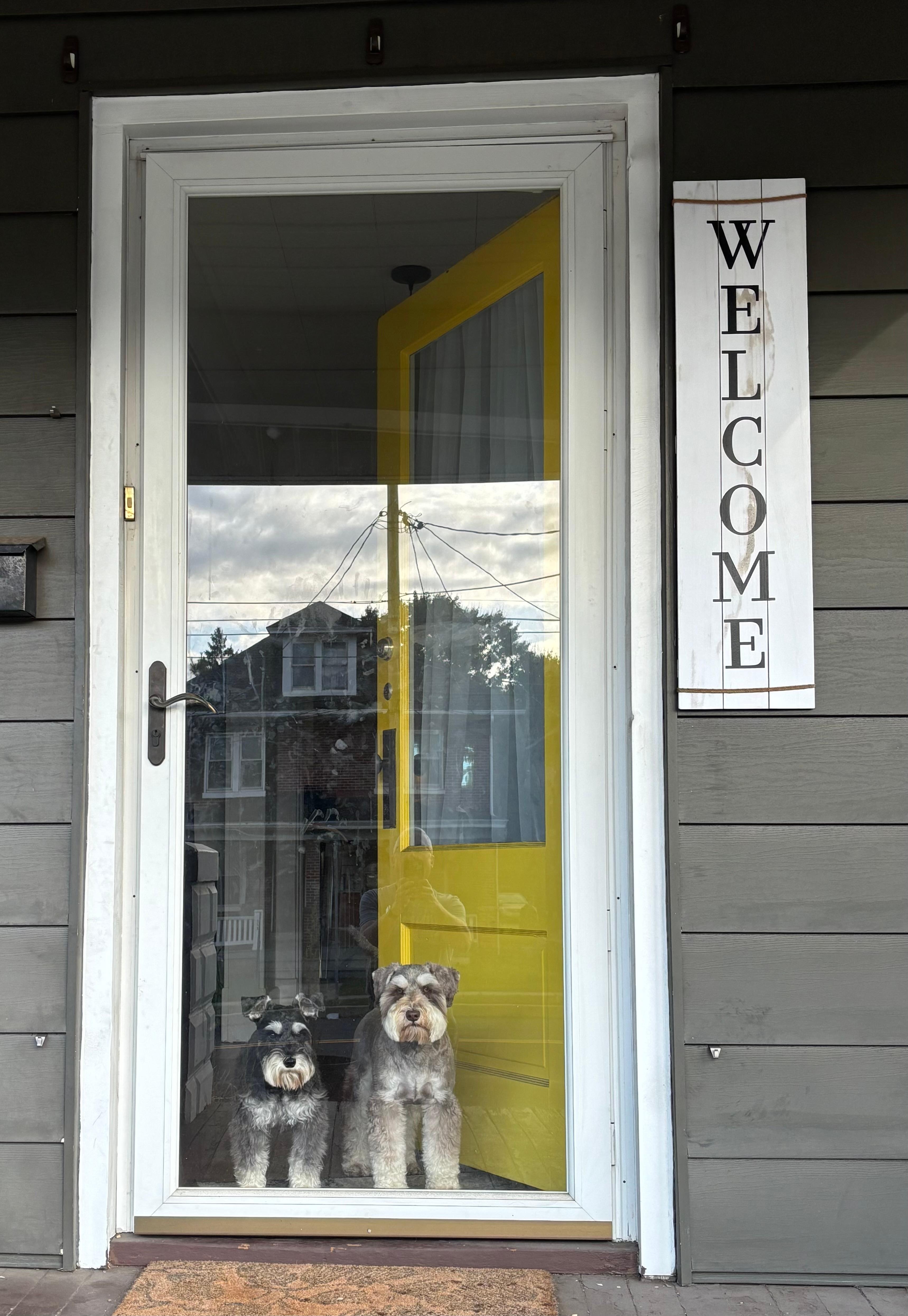 Our dogs checking the scene out the front door.