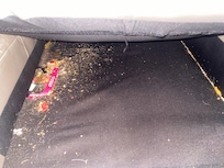 Dirt in couch
