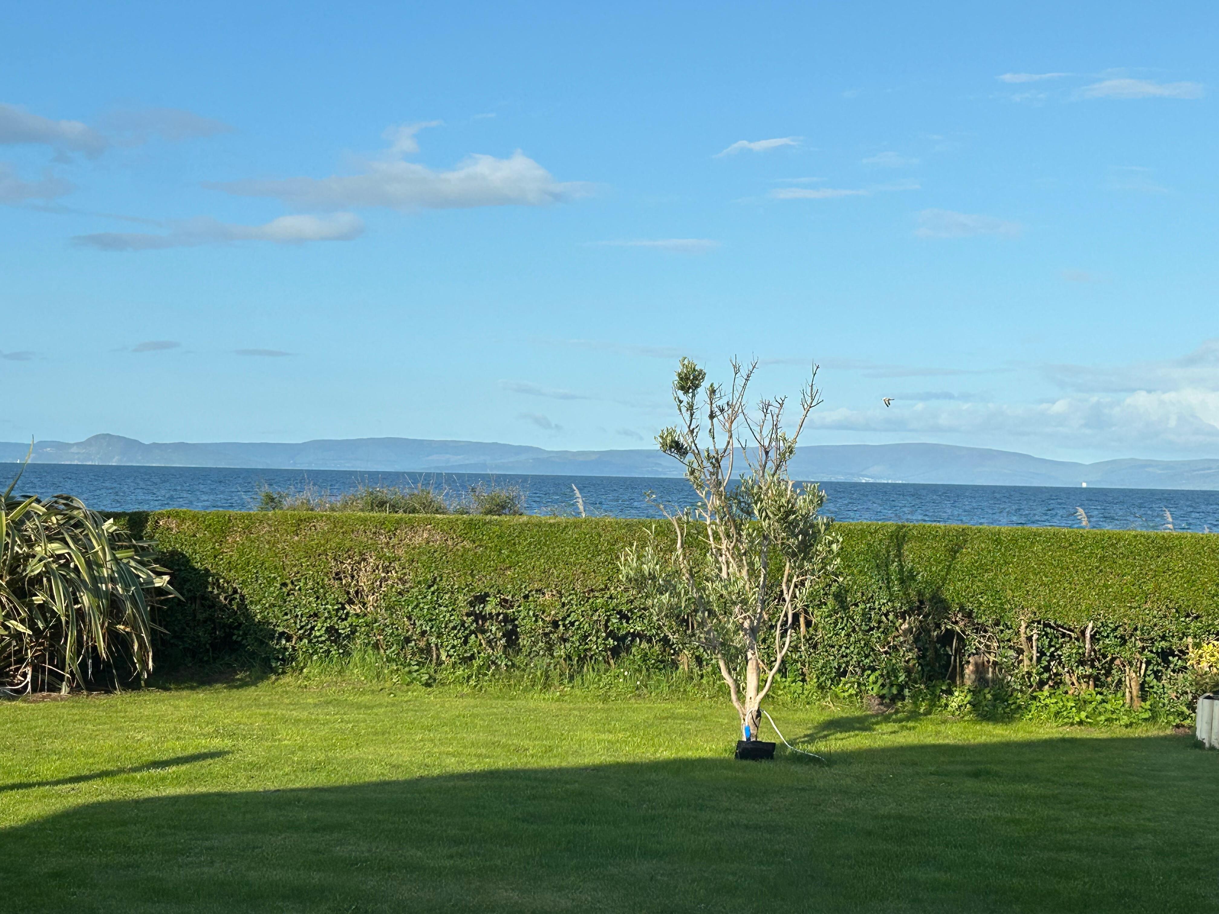  View of back garden. 