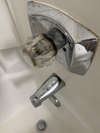 Black mold