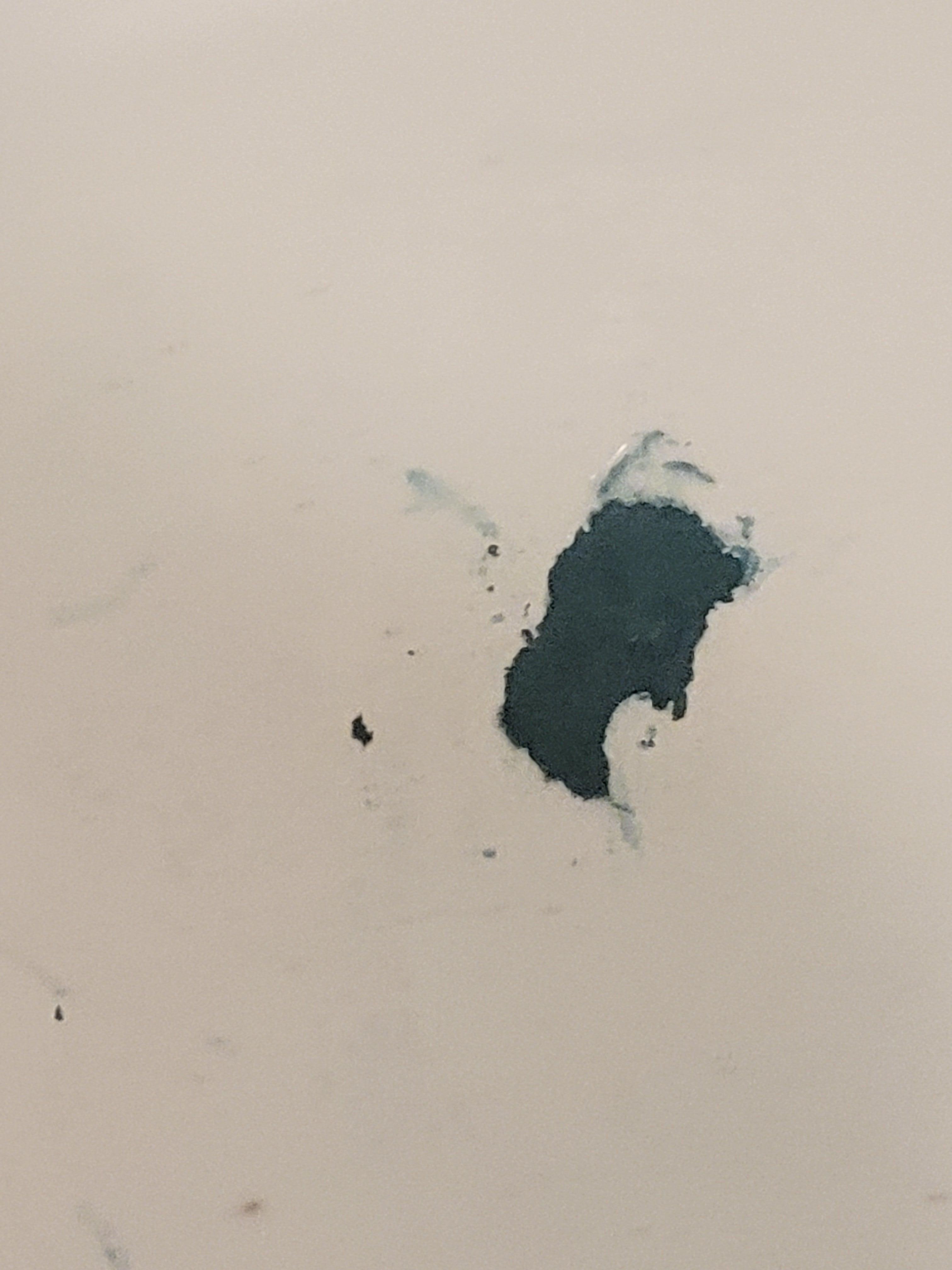 Bathtub paint peeling reported to front staff. Could move us to a different room no King size room left
