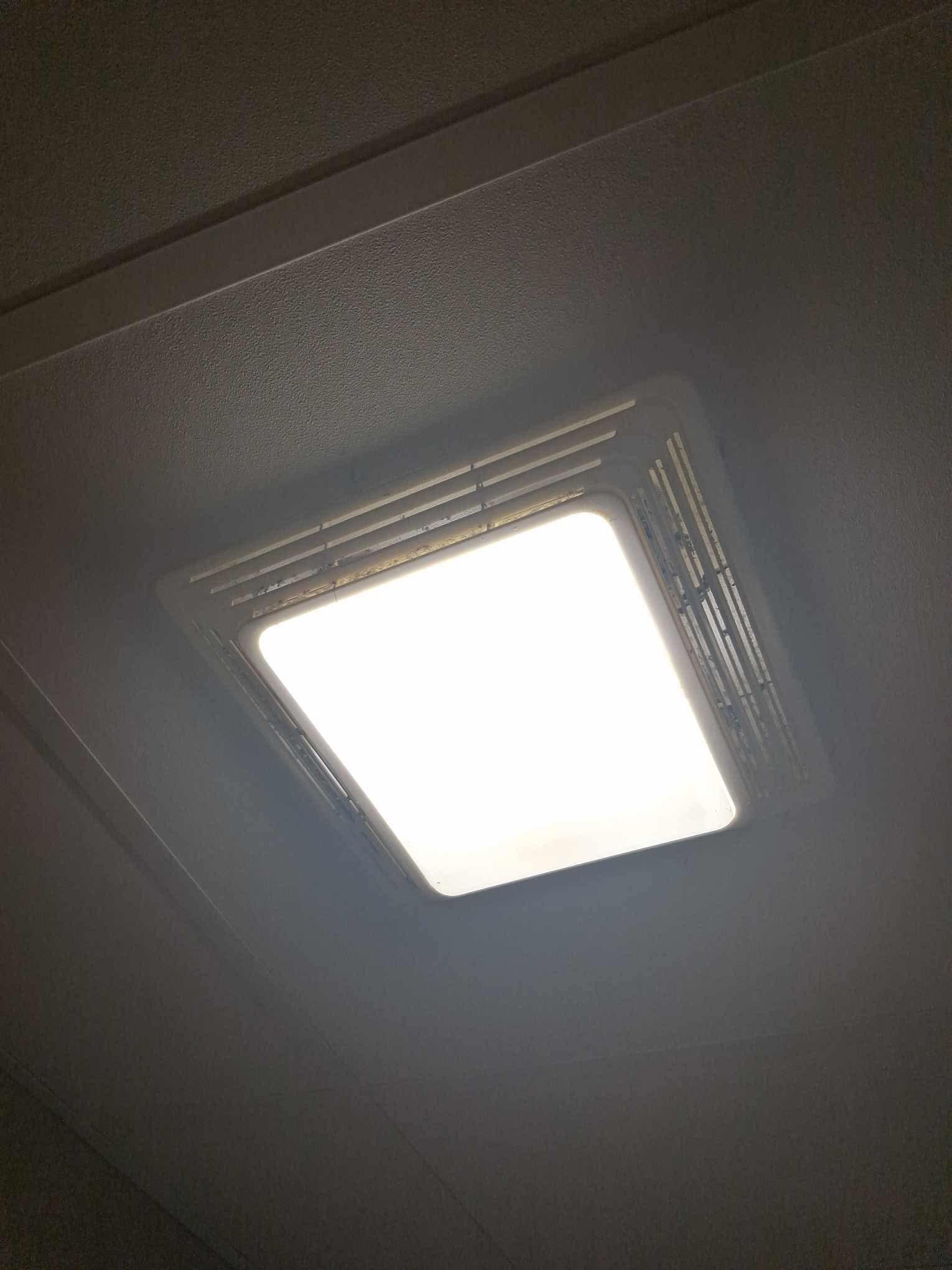Mold 