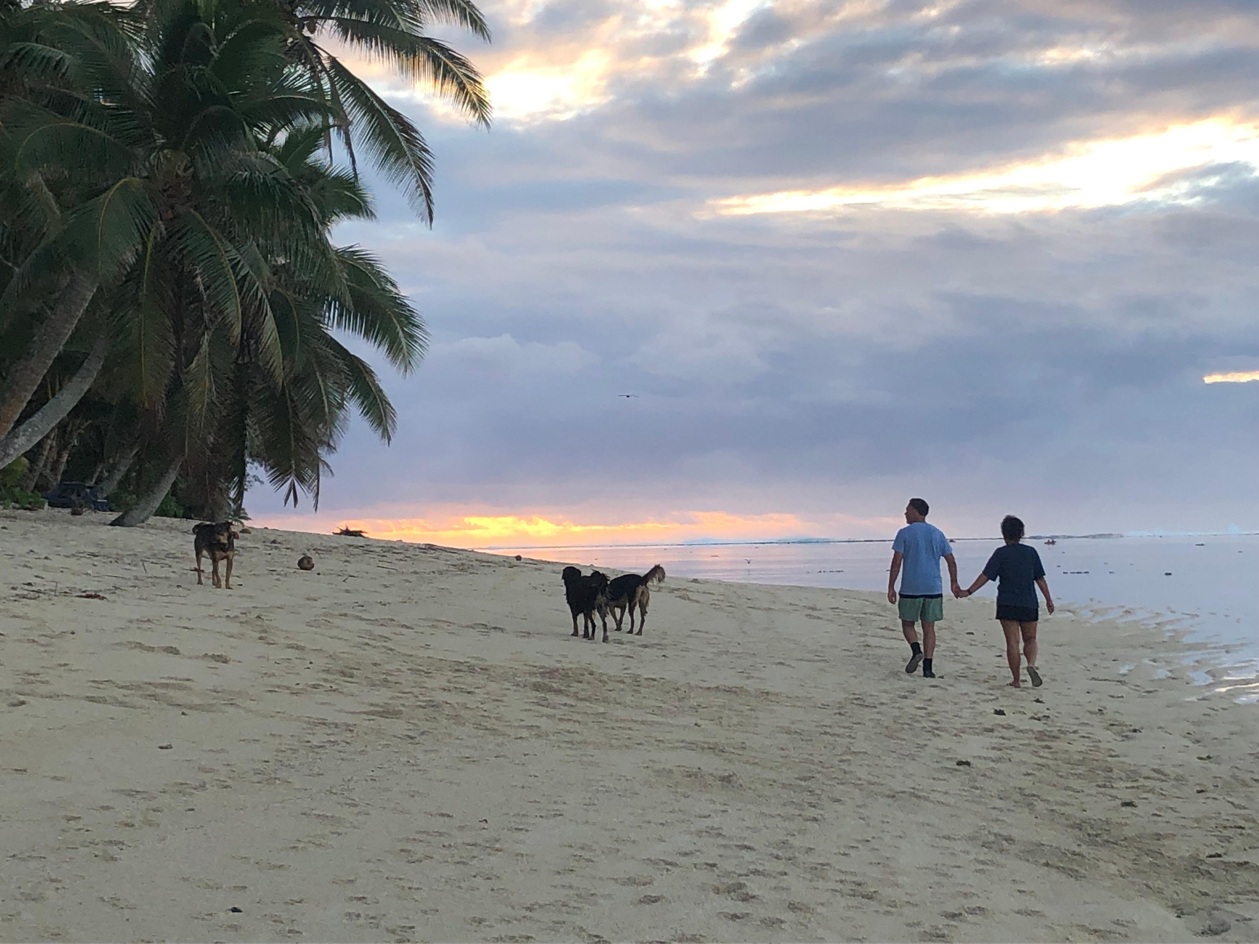 Walking on the local beach and greeted by all the dogs was definitely a highlight