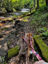 They see their sister in the distance!!
