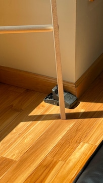Large Rodent traps, and droppings throughout