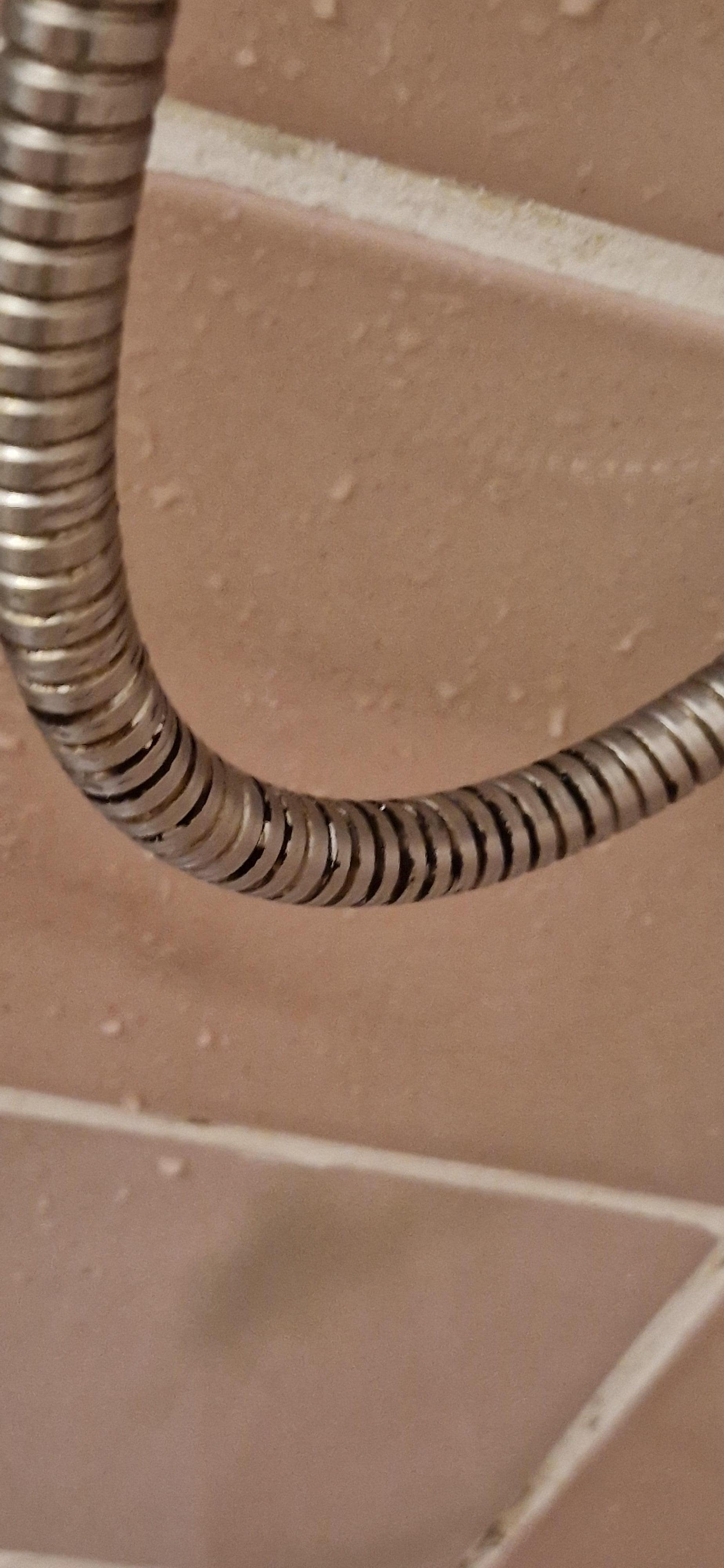 Flexible de douche rouillé