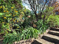 Part of the delightful garden