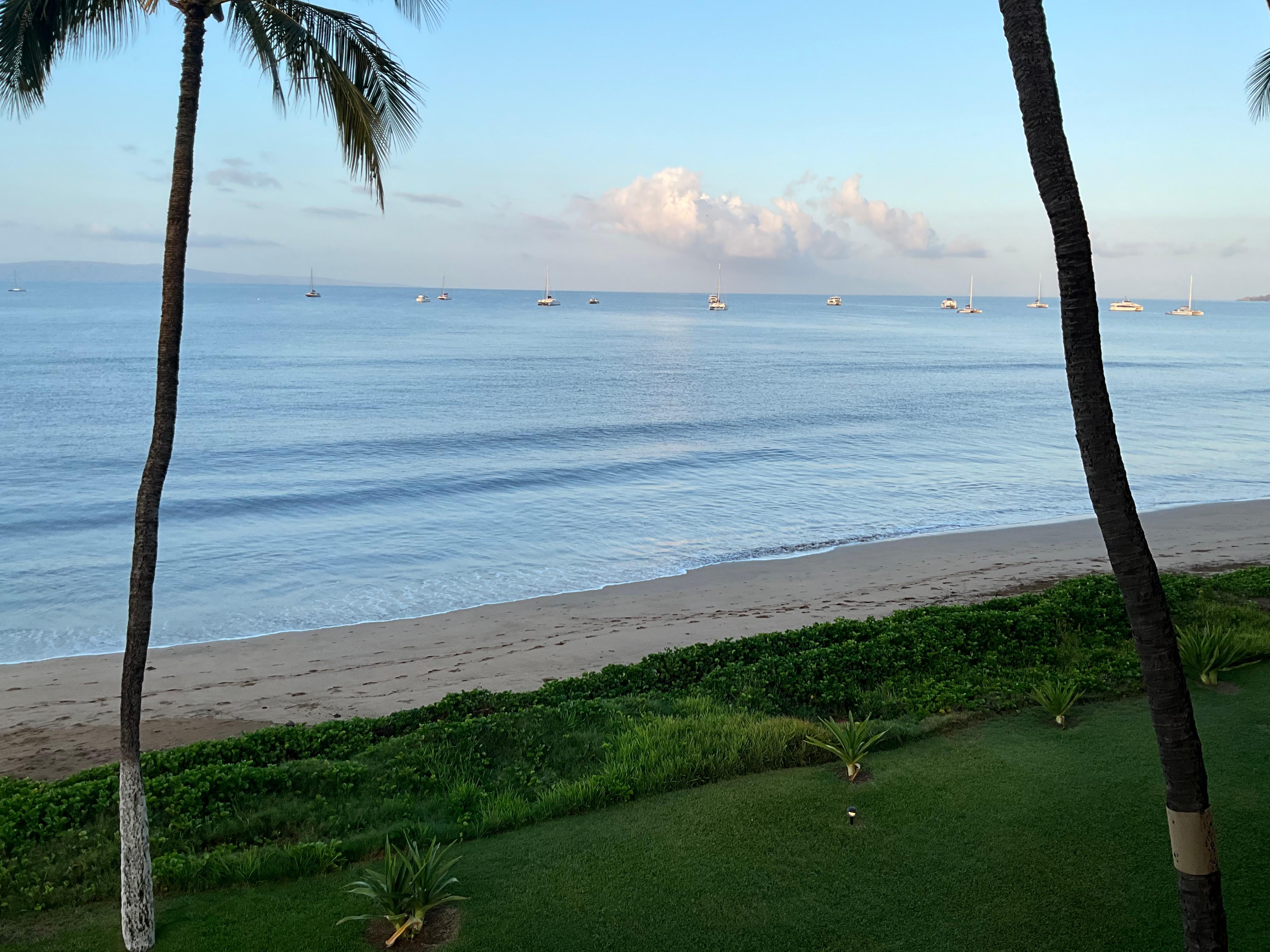Balcony view.