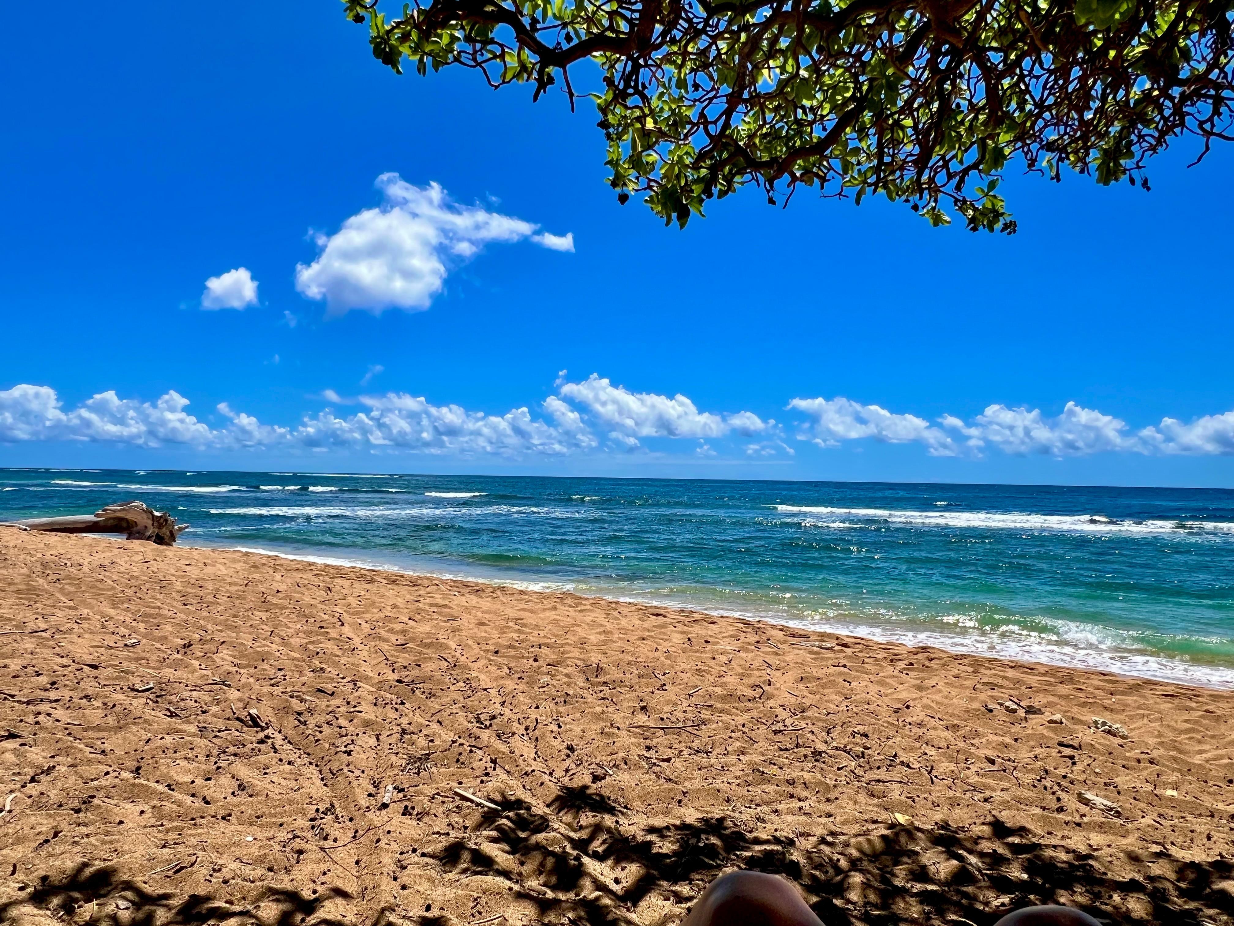 Sitting under a tree in front of the condo