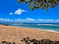 Sitting under a tree in front of the condo