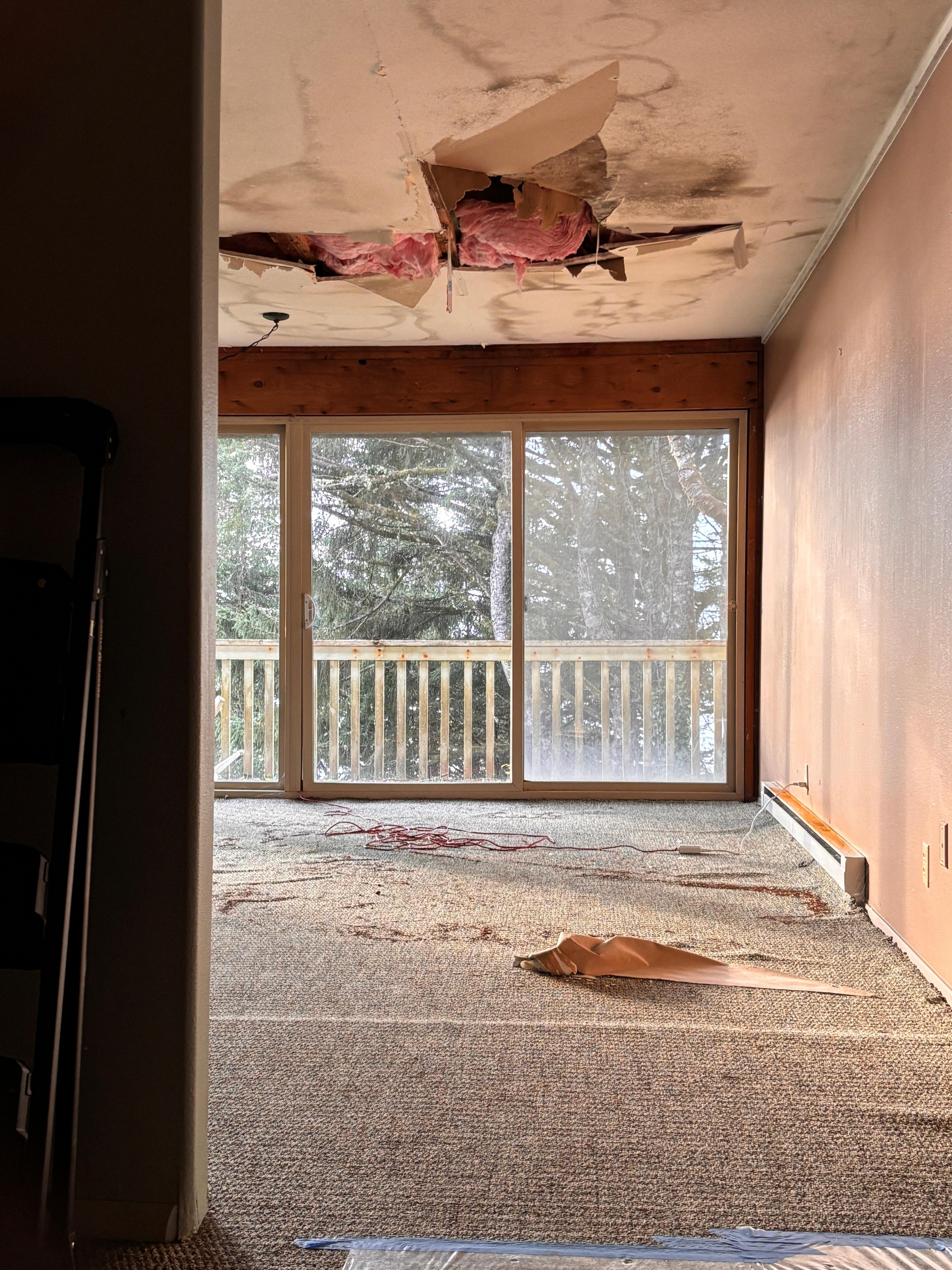 Adjacent room, rotting and covered in filth and mold. 