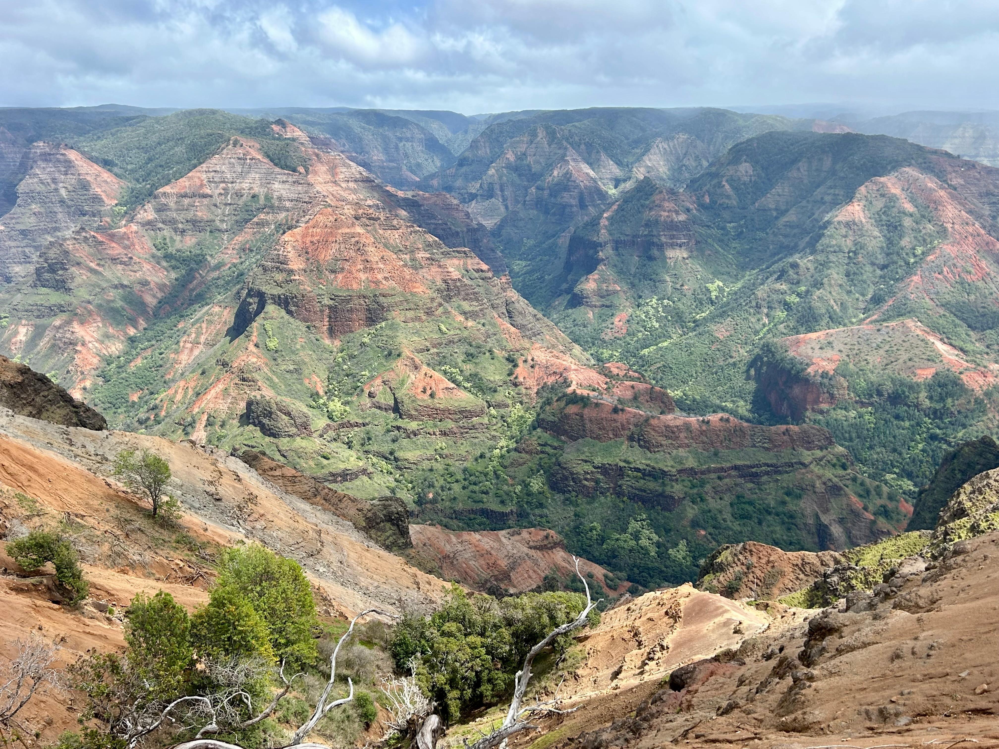 Waimea Canyon