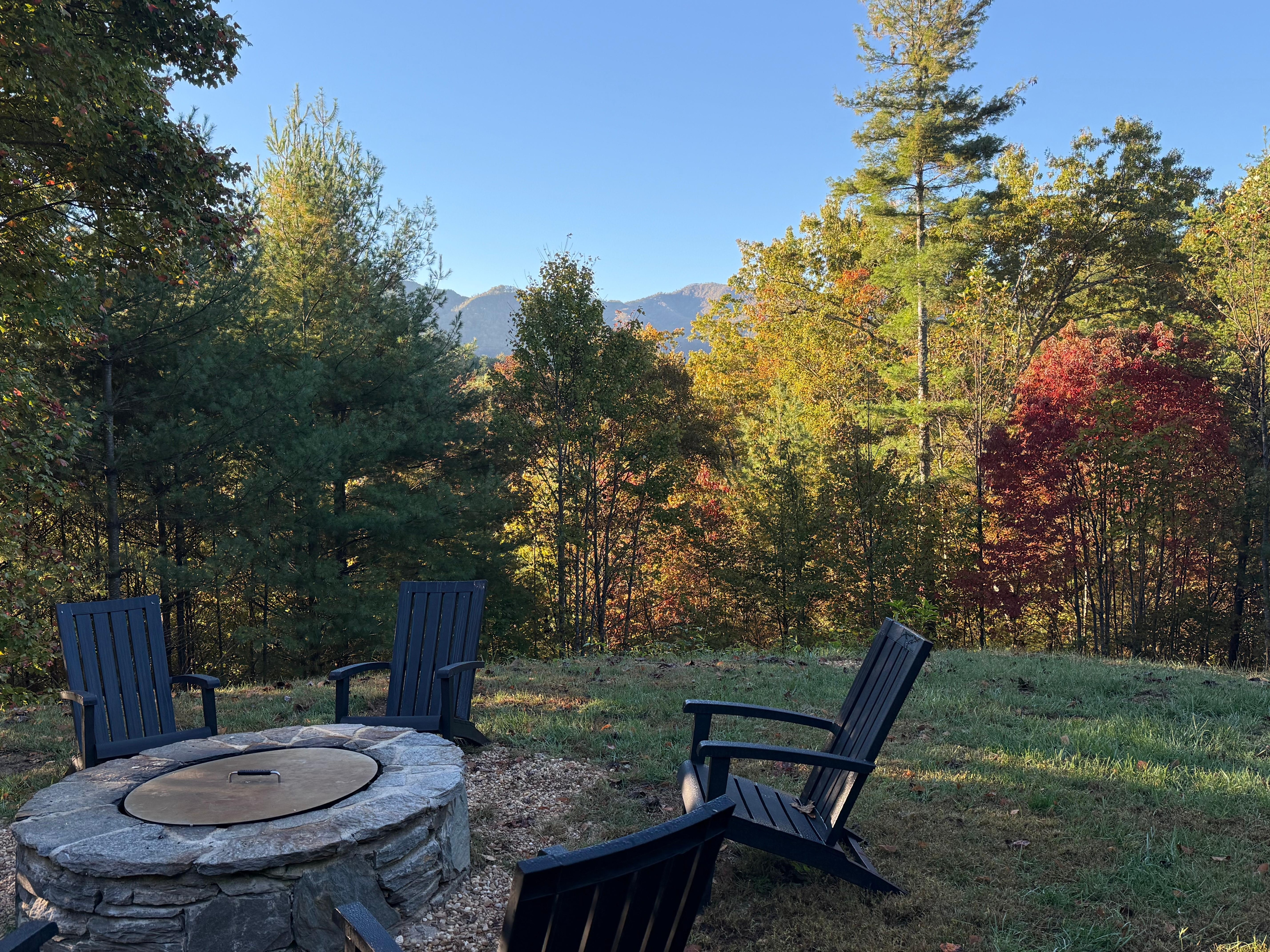 View from the patio.