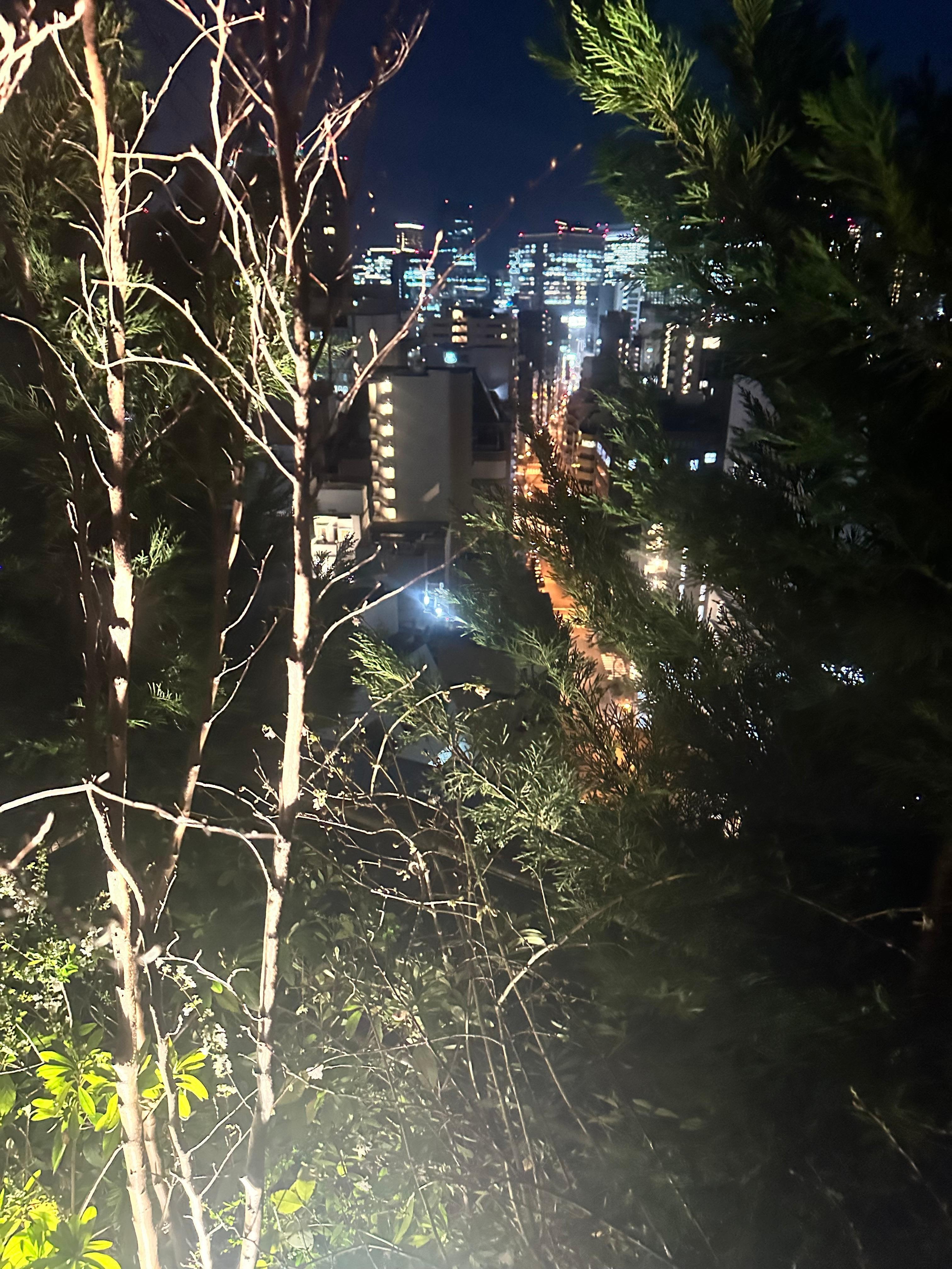 View from roof top terrace. 