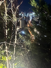 View from roof top terrace.