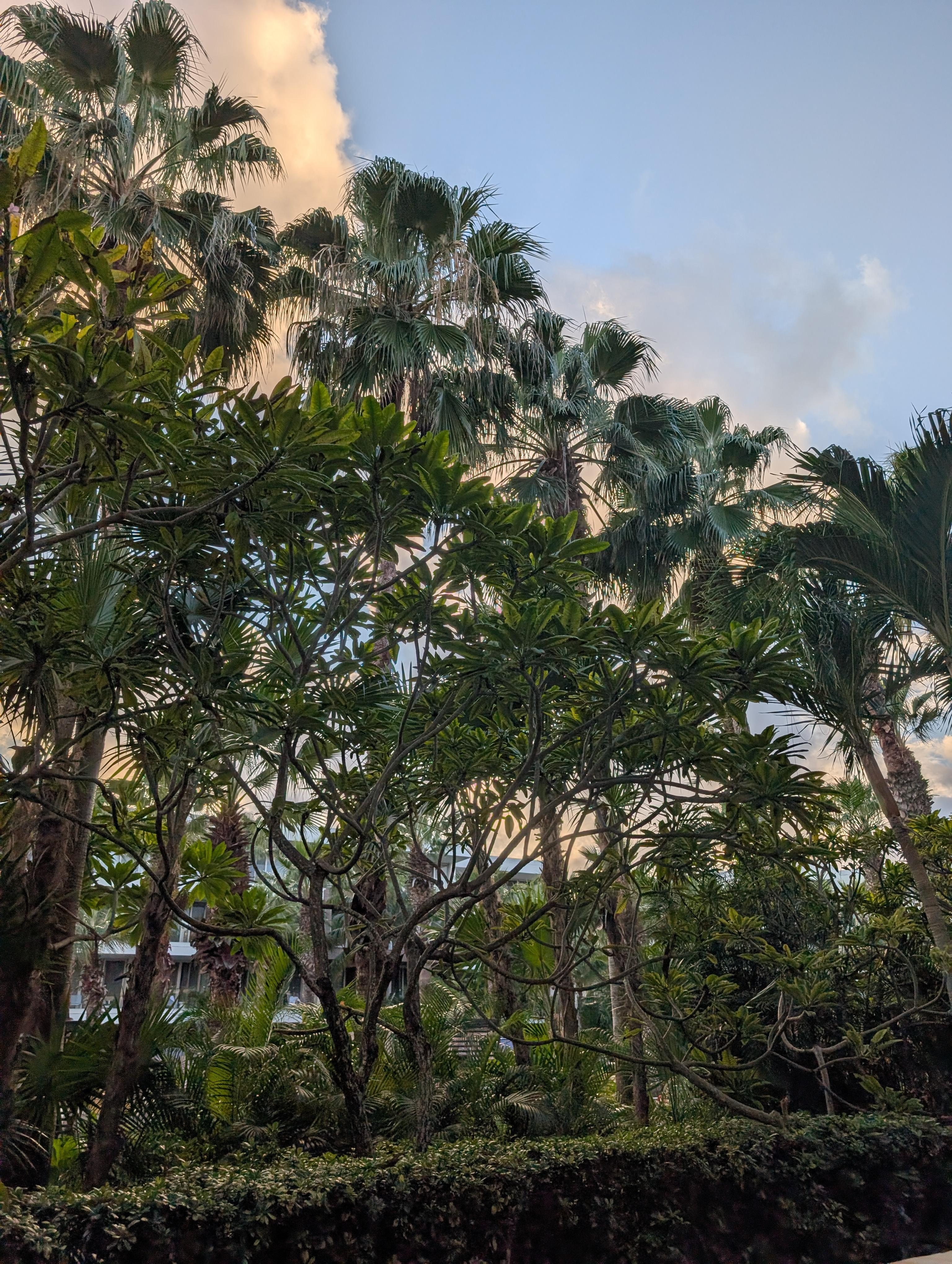 Outside our swim up room You could see the main pool, conveniently close to it and food, but also it was nice to have this!! Their beach is mostly just sand and Cabana things which is cute, but I was stoked to look out of my room and see this for sur