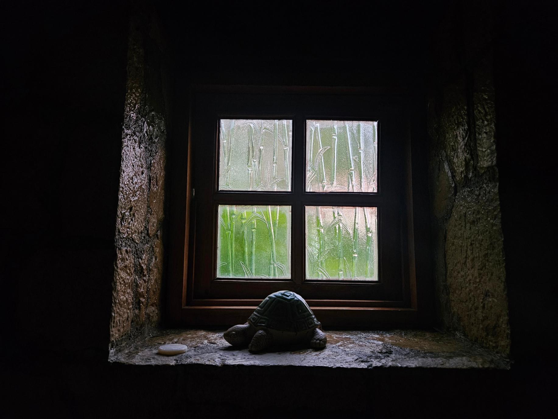My bathroom window
