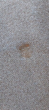 Under the coffee table leg