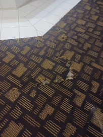 Carpet was torn