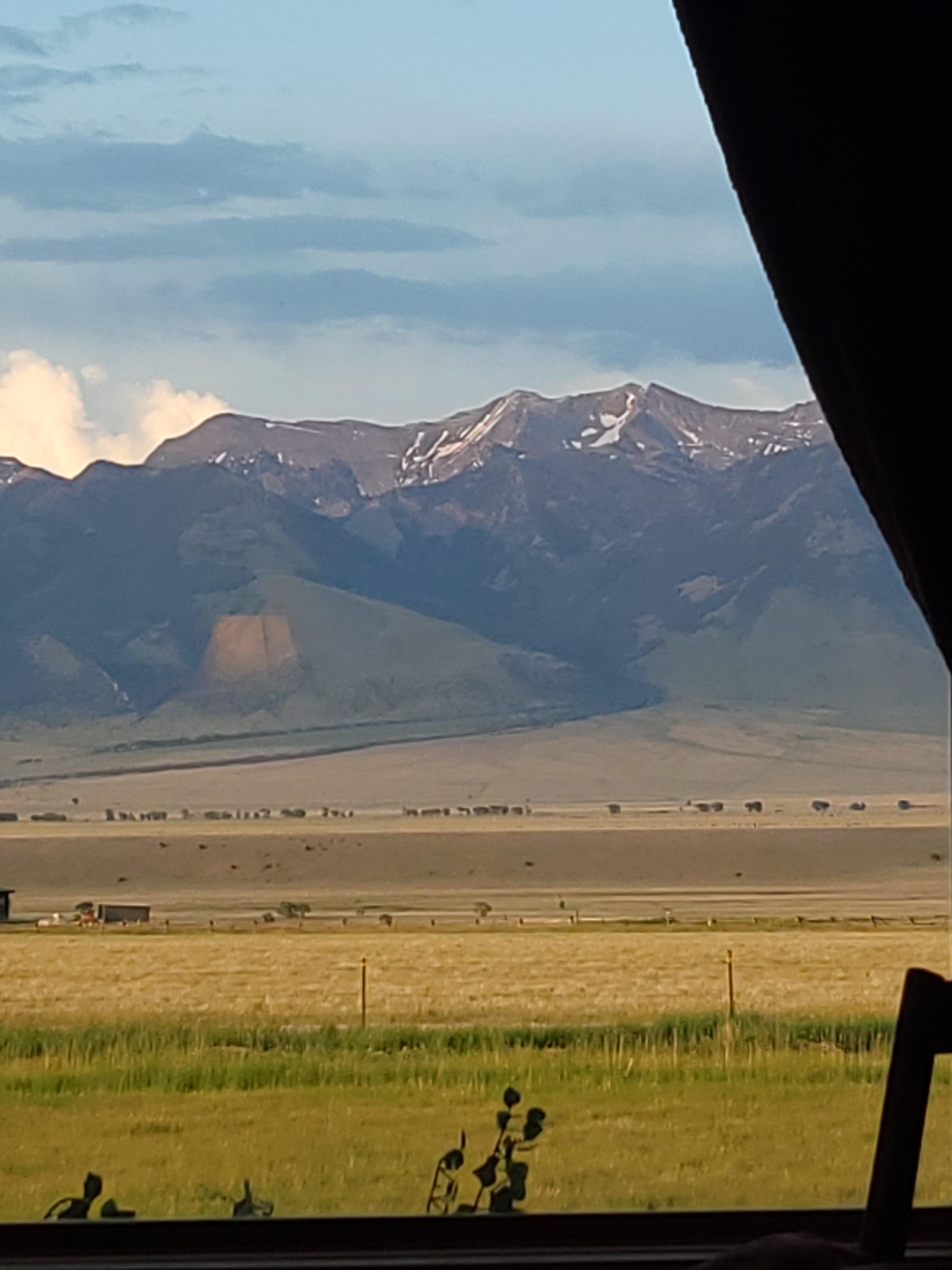 View from the living room.