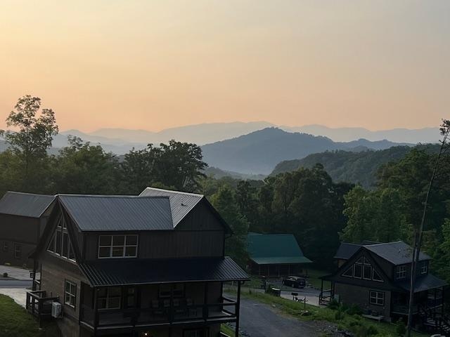 Morning view from top deck