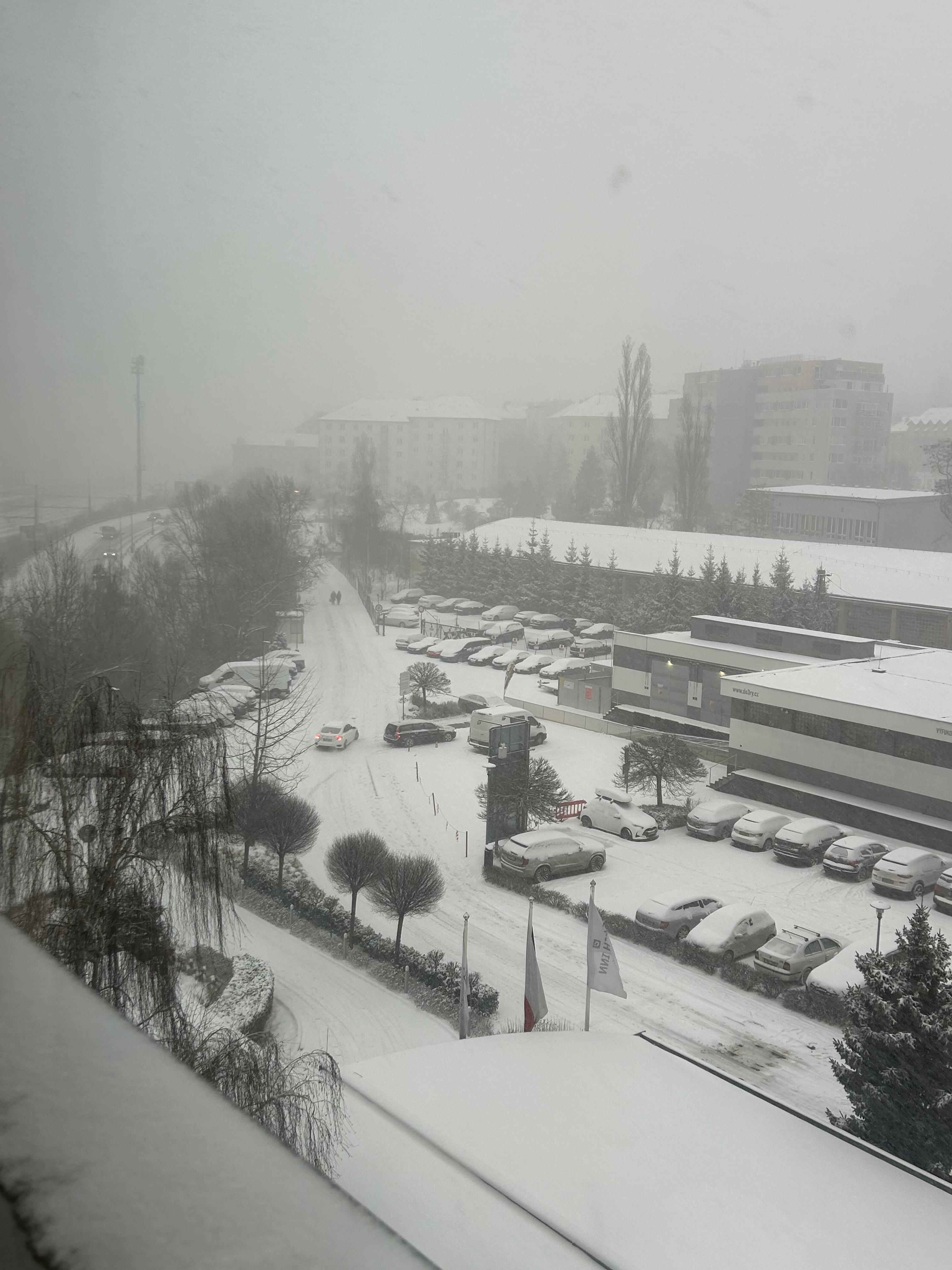 Panorama incantevole con la neve 