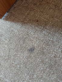 Sticky Spot on carpet