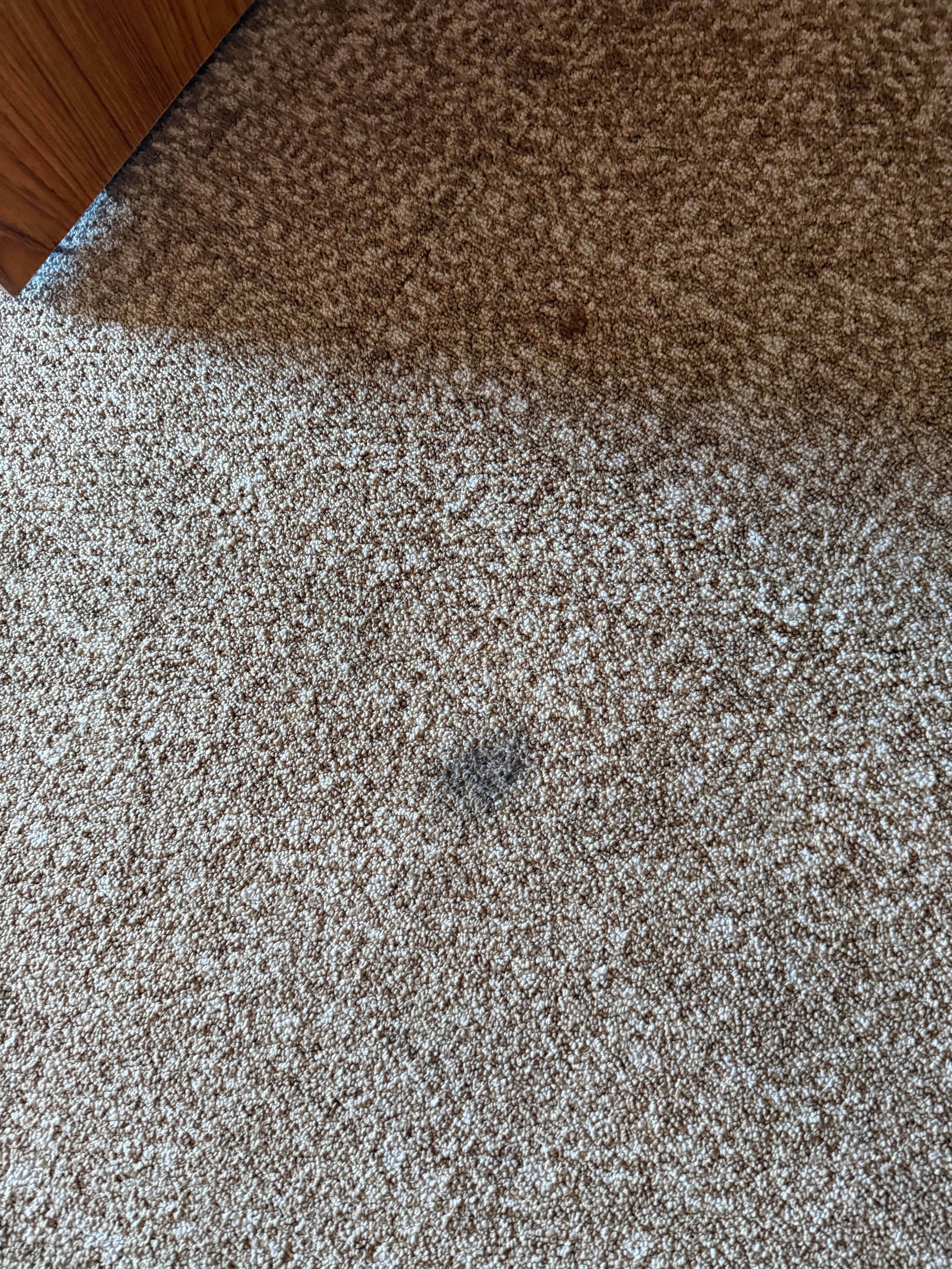 Sticky Spot on carpet