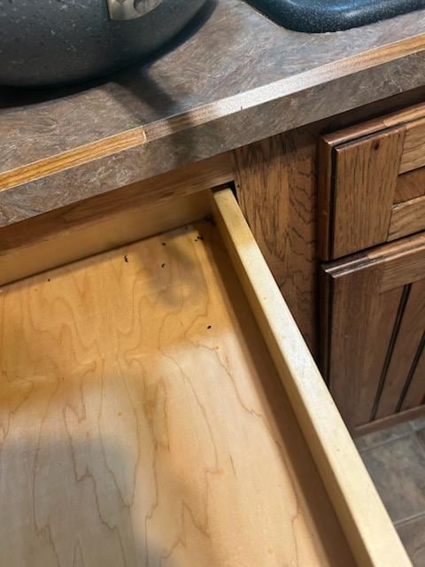 All are pictures of mouse poop in drawers