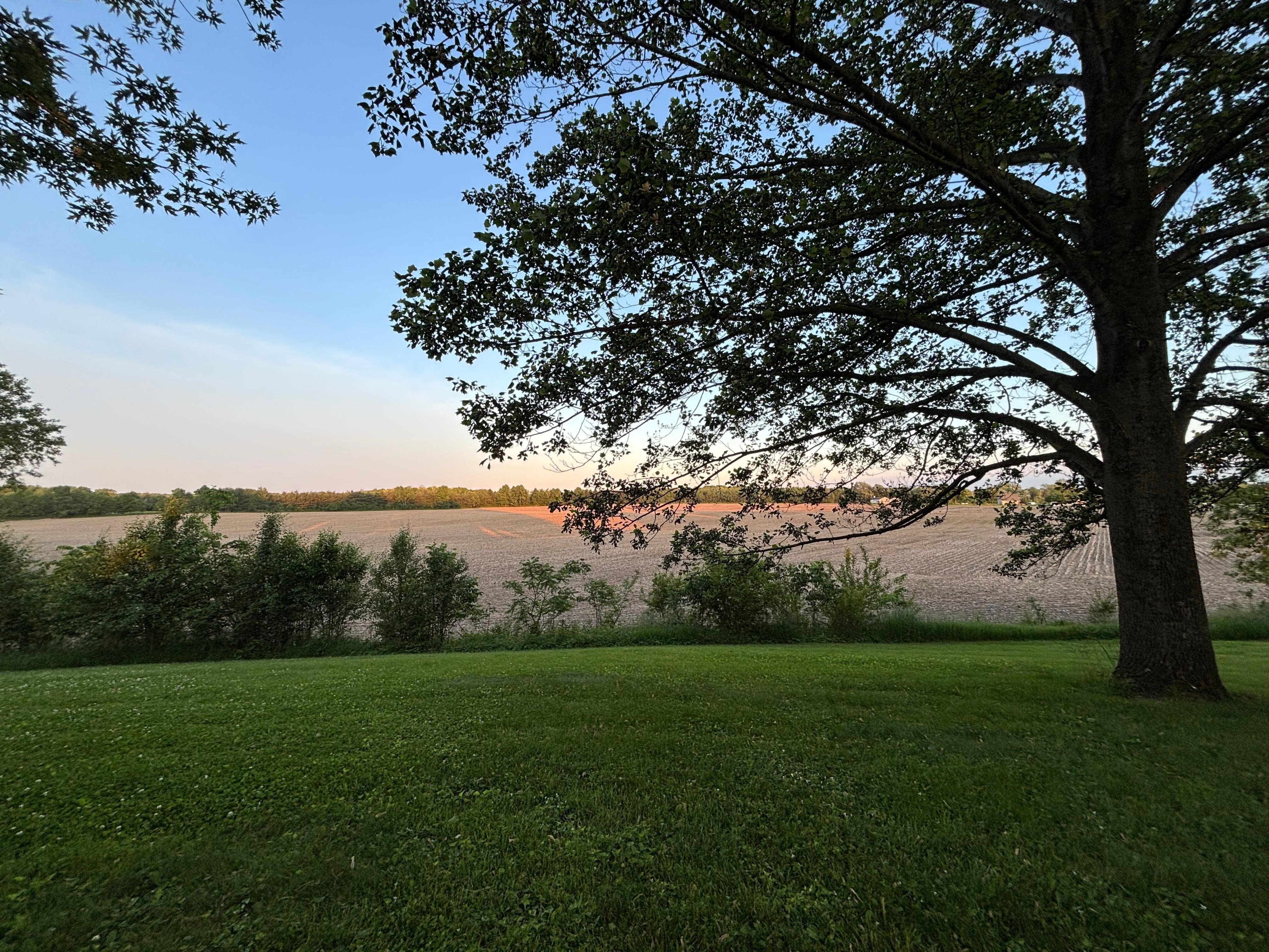 Sundown view