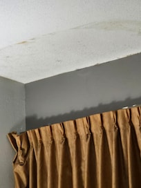 Leak in ceiling