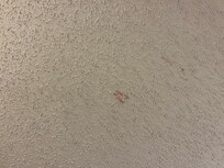 some goo on the ceiling