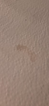 Large blood stain on bed, had to stand for 45 minutes for them to change our bedding at 1.00am!