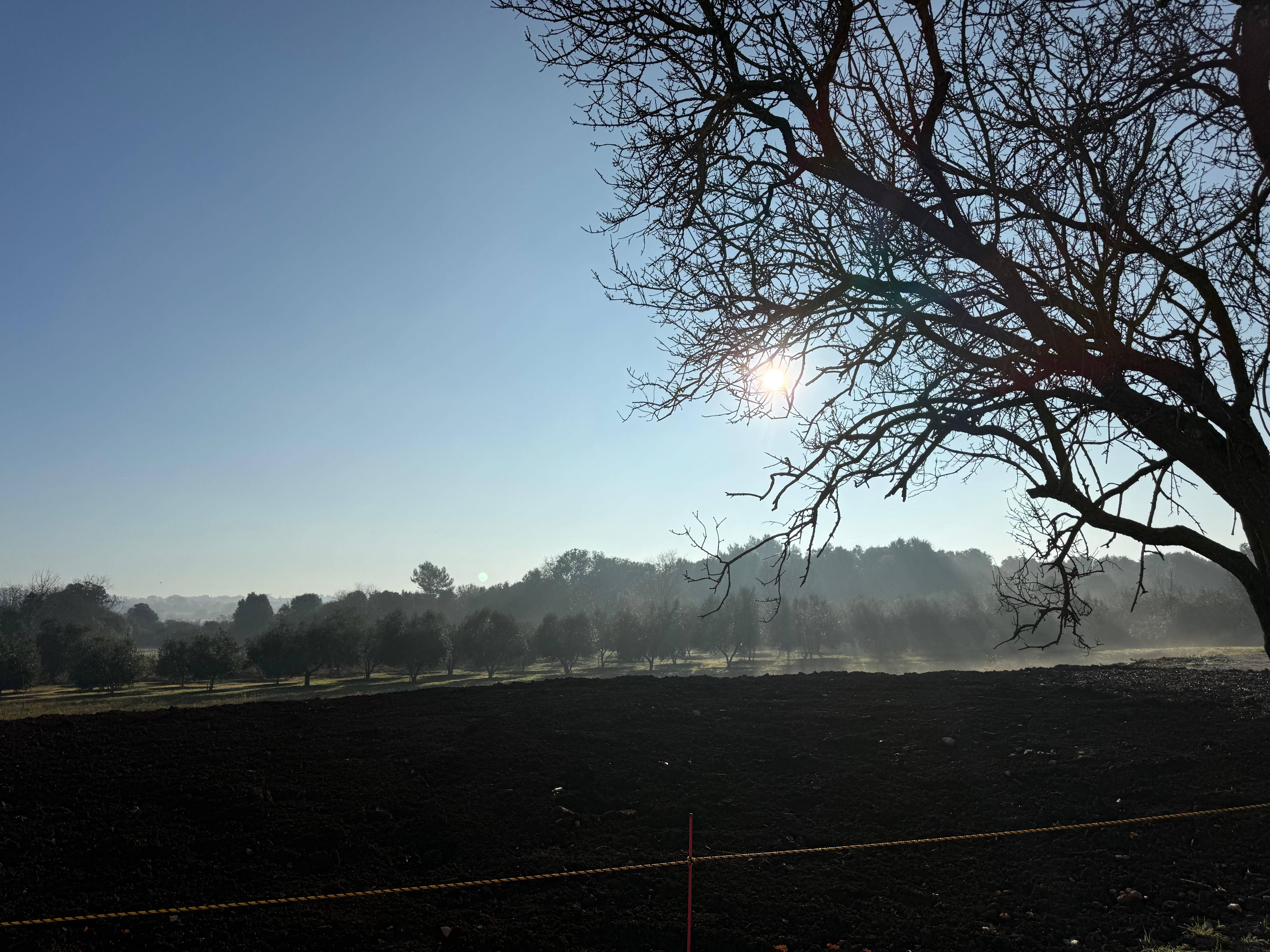 morgendlicher Sonnenaufgang Dezember 2025 vor dem Haus. 