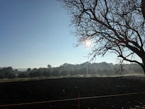 morgendlicher Sonnenaufgang Dezember 2025 vor dem Haus.