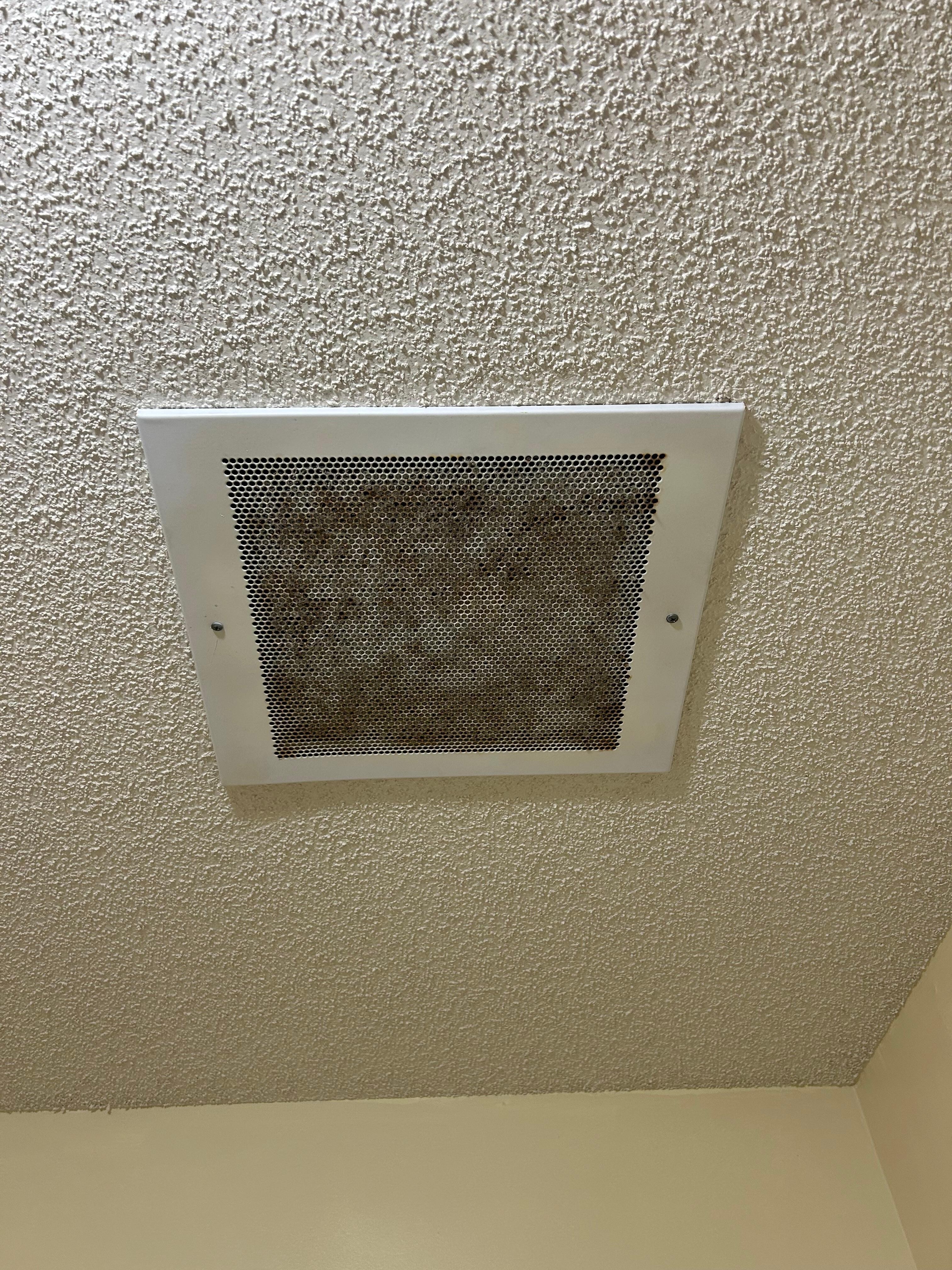 Bathroom Exhaust Fan