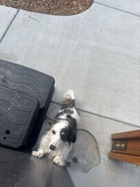Sadie wanting to join mom in The spa