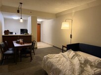 Even with sofa bed pulled out, living area is spacious.